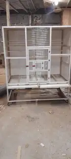 محاكر قفص 19