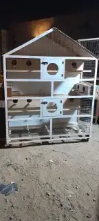 محاكر قفص 33