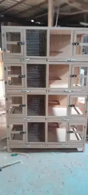 محاكر قفص 25