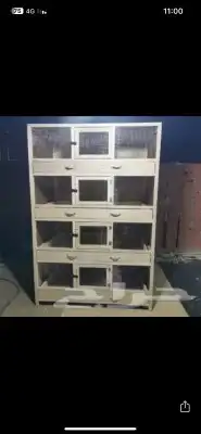 محاكر قفص 22