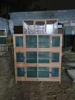 محاكر قفص 32