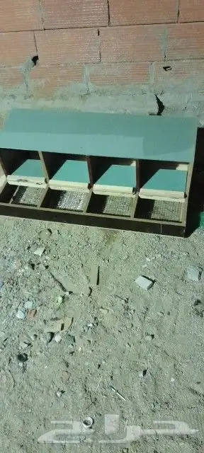 محاكر قفص 6