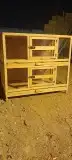 محاكر قفص 16
