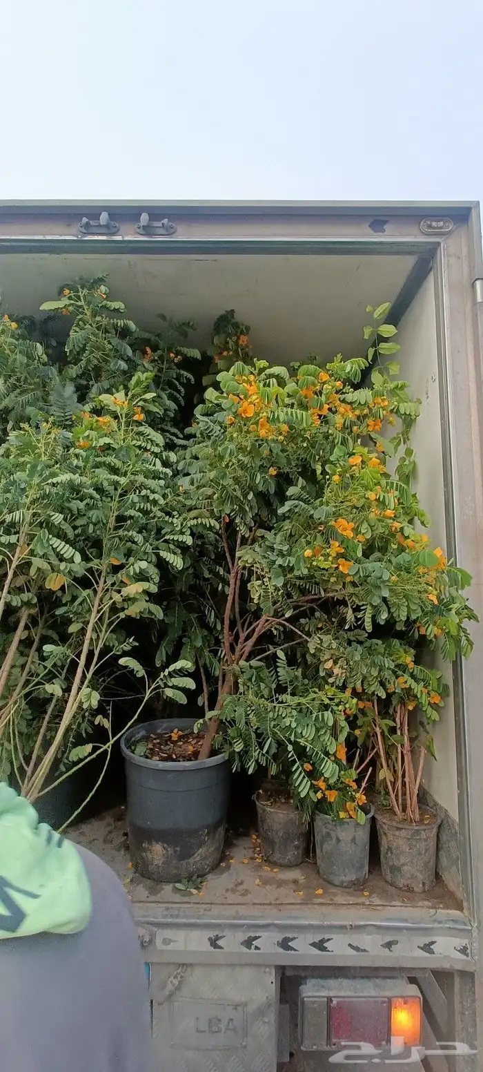 زراعه 1