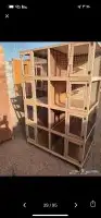 محاكر قفص 12