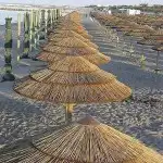 فنون الخيزران توريد وتنفيذ 9