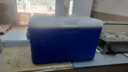 القنفذه القوز 1