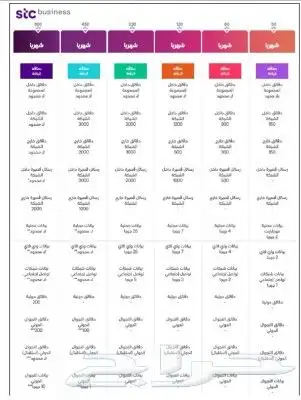 خدمات الاتصالات السعوديه قطاع الأعمال والشركات والمؤسسات 4
