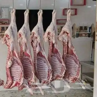 شوي خارجي 5