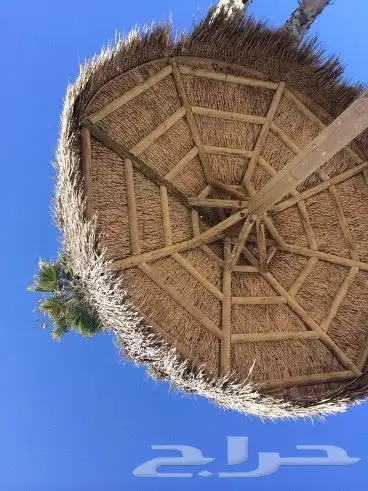 فنون الخيزران توريد وتنفيذ 1