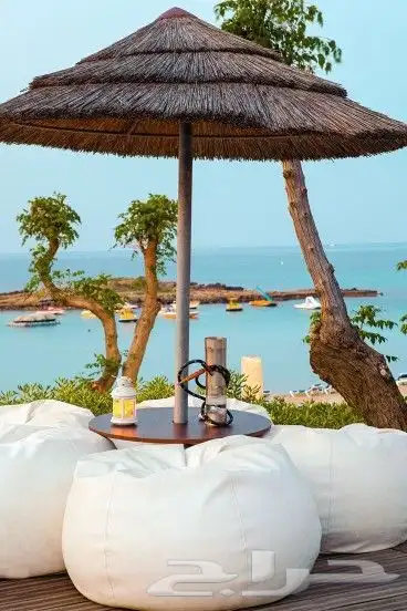 فنون الخيزران توريد وتنفيذ 7