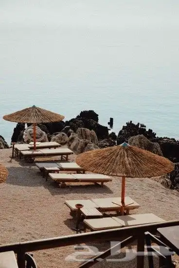 فنون الخيزران توريد وتنفيذ 8