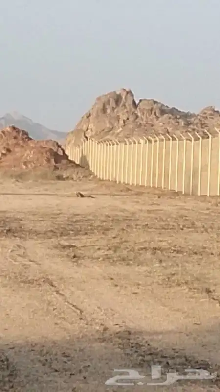 مقاول شبوك 1