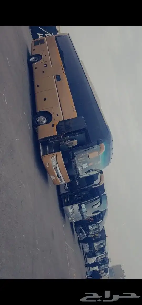 باص للايجار 6