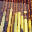 عصي لوز مصري وقصب مصري وبومب هندي 14