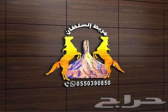 مطبعة وطباعة اللوحات الاكرليك والأحرف بروشور كاتولج فاتورة 9