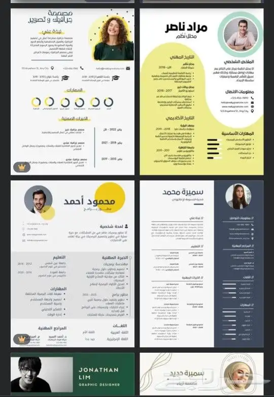 تصميم سيرة ذاتية CV 9