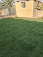 ثيل سي 2000الخرج 4