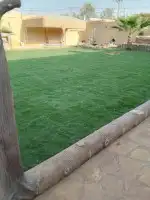 ثيل سي 2000الخرج 7
