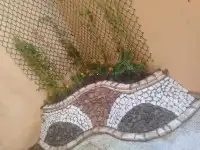 زراعه 9
