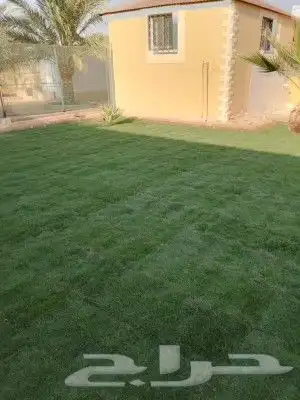 ثيل سي 2000الخرج 8