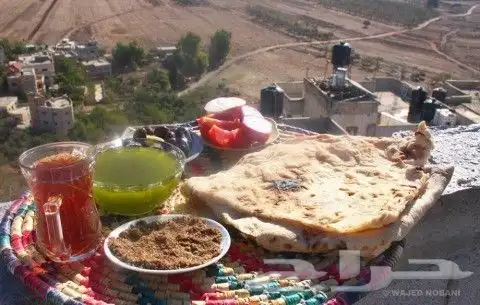 زيت زيتون فلسطيني معصور على البارد وجديد فاخر للغاية 4