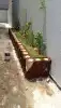 زراعه 11