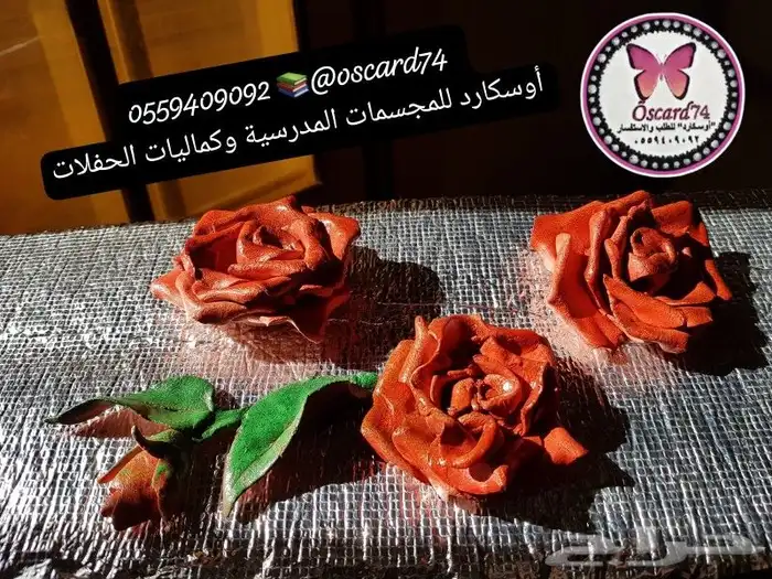 مجسمات و مشاريع مدرسيه 8