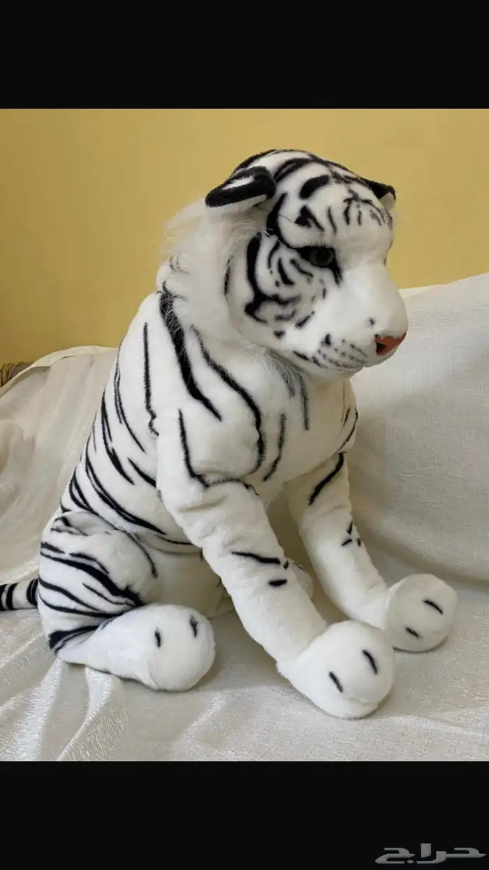 العاب موسم جدة نظيفة وجديدة 1