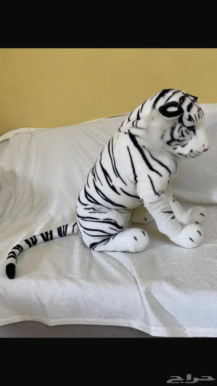 العاب موسم جدة نظيفة وجديدة 2