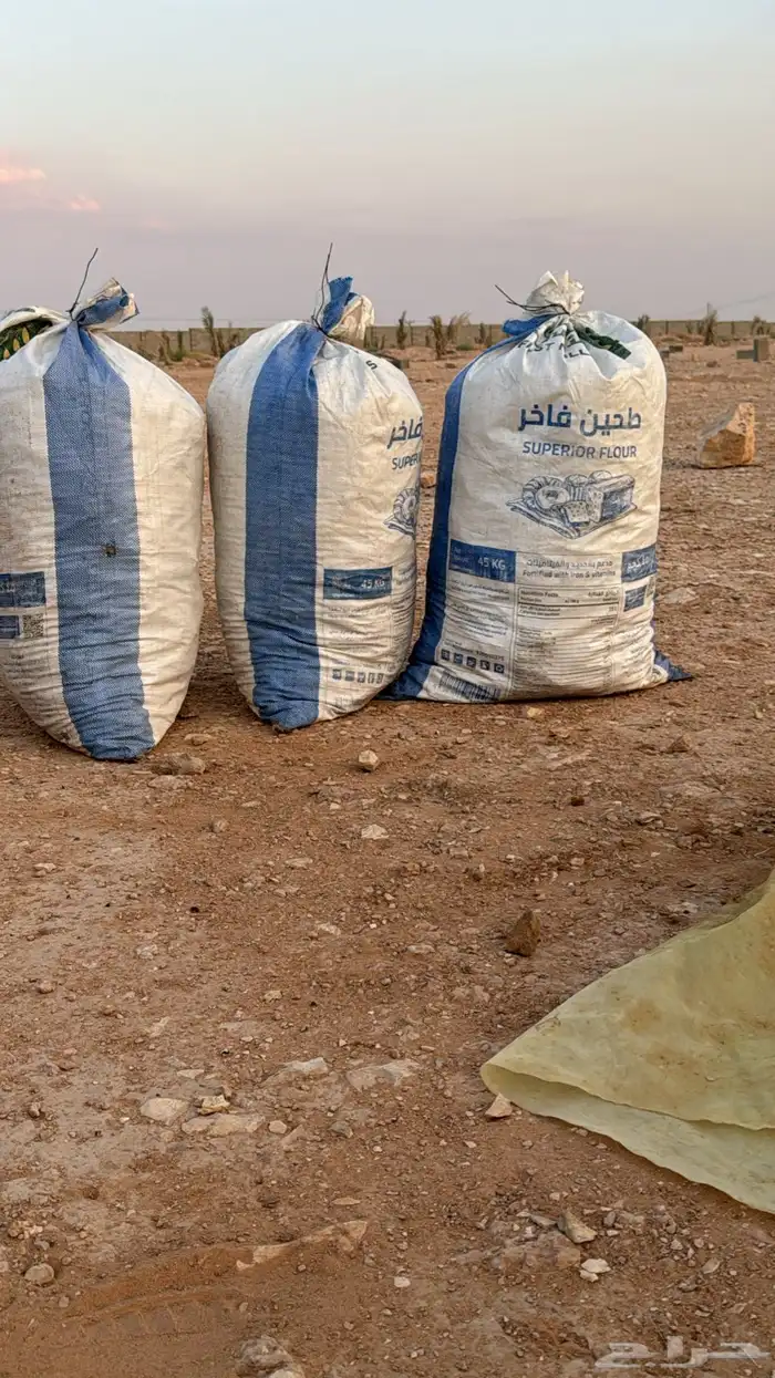 علف عجين اسبوسه ورقائق تعبيه طيبه جدن 0