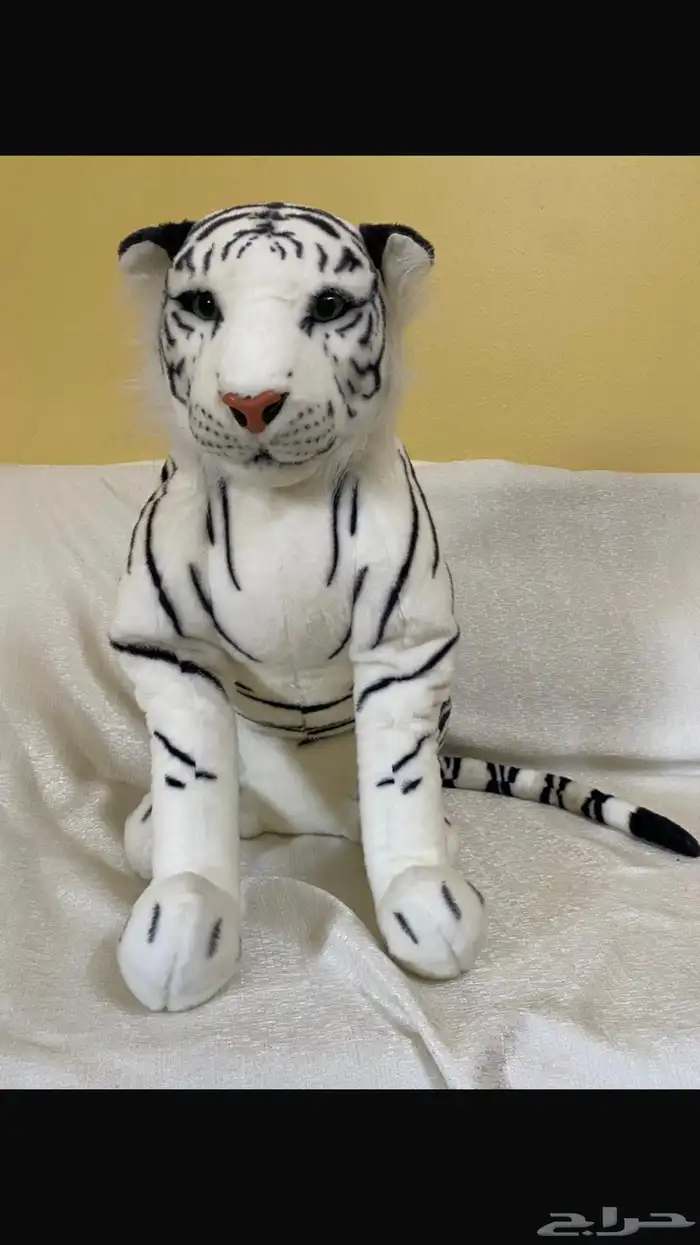 العاب موسم جدة نظيفة وجديدة 0