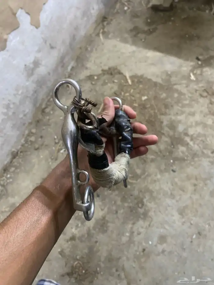 شكيمه خيل حاره 4