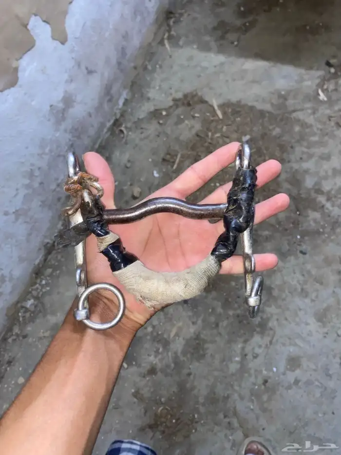 شكيمه خيل حاره 2