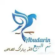 انثي كناري بصلي ( تم البيع ) 4