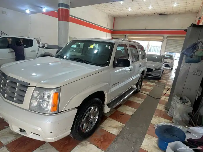 اسكاليد لؤلؤي سعودي بدي وكاله المالك الاول 2