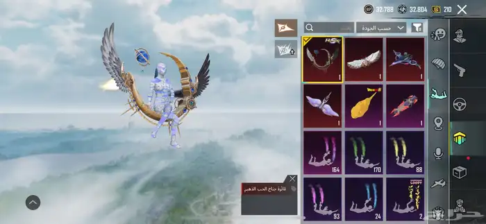 حساب ببجي للبيع ( فخم ) 10