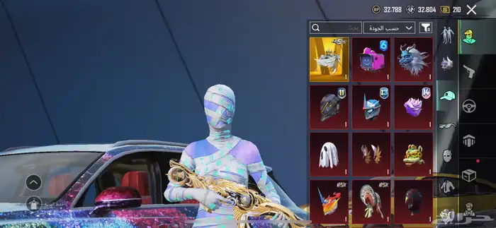 حساب ببجي للبيع ( فخم ) 14