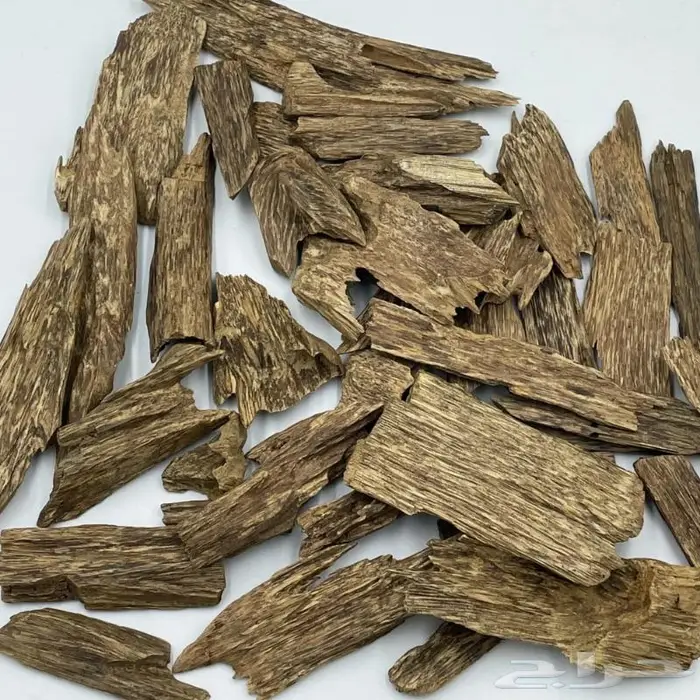 عود سومطري طبيعي 0