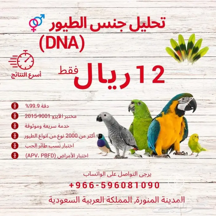 خدمات تحديد جنس الطيور بالحمض النووي 1