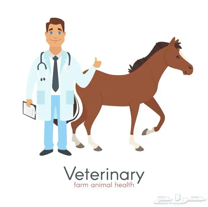 طبيب بيطري خيل( الاحساء) 0