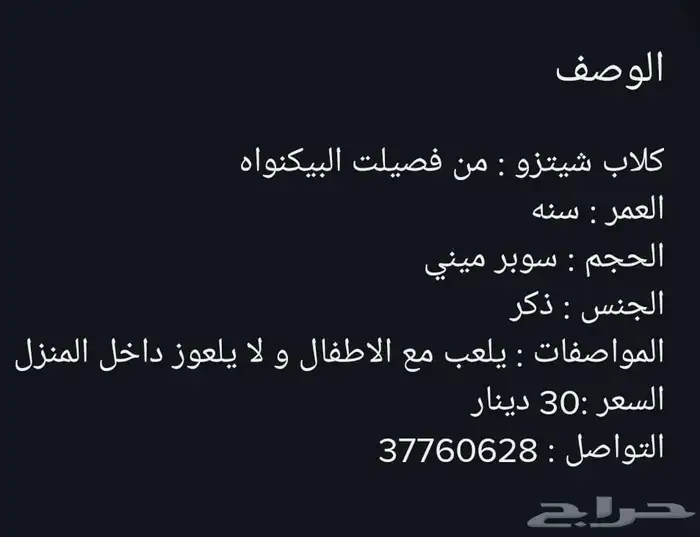 مدرب كلاب بالمنزل 4
