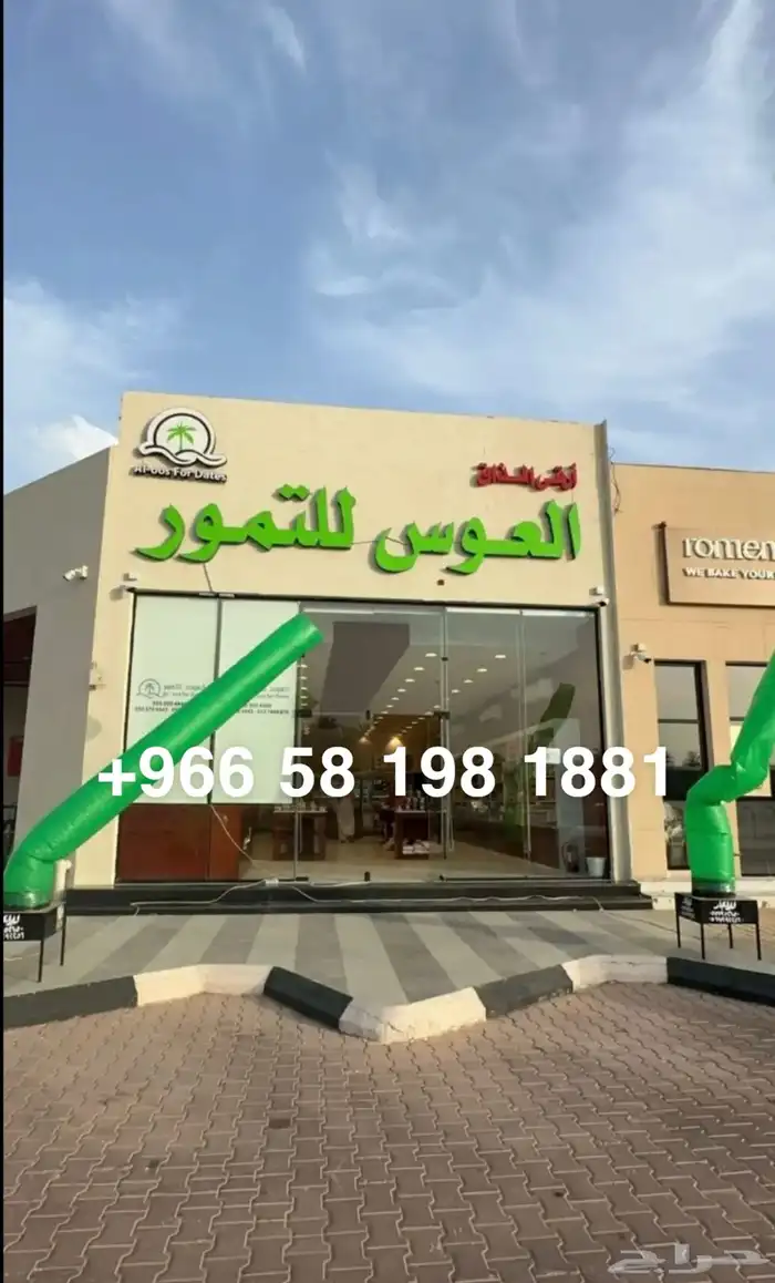 ايجار بلونه راقصه بلونه الشيف ليزر اضاءه افتتاح محل 0