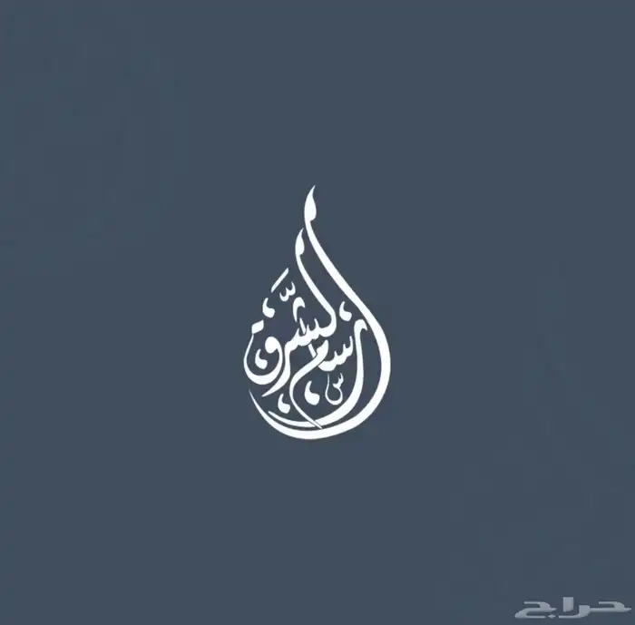 تصميم لوقو تصميم شعار 6