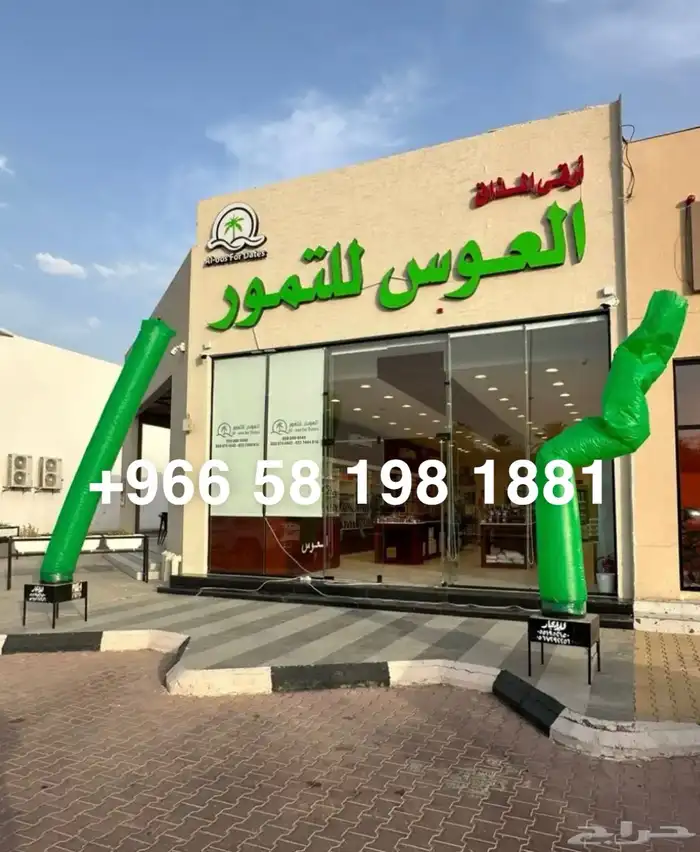 ايجار بلونه راقصه بلونه الشيف ليزر اضاءه افتتاح محل 1