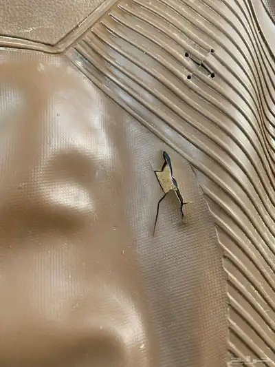 فرشة ددسن 3
