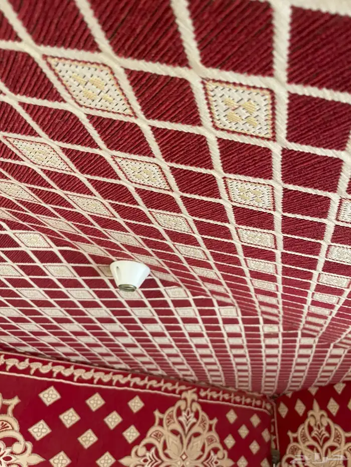 قلص عربة خلفيه للرحلات 4