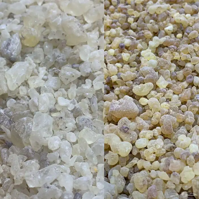 7 عروض وتصفيات با الجملة 0