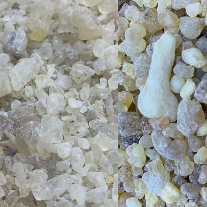 7 عروض وتصفيات با الجملة 1