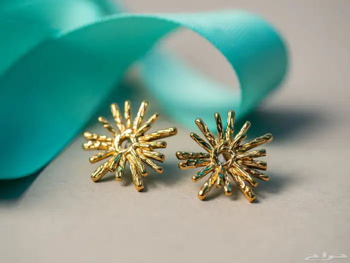 مصورة محترفة سعودية 2